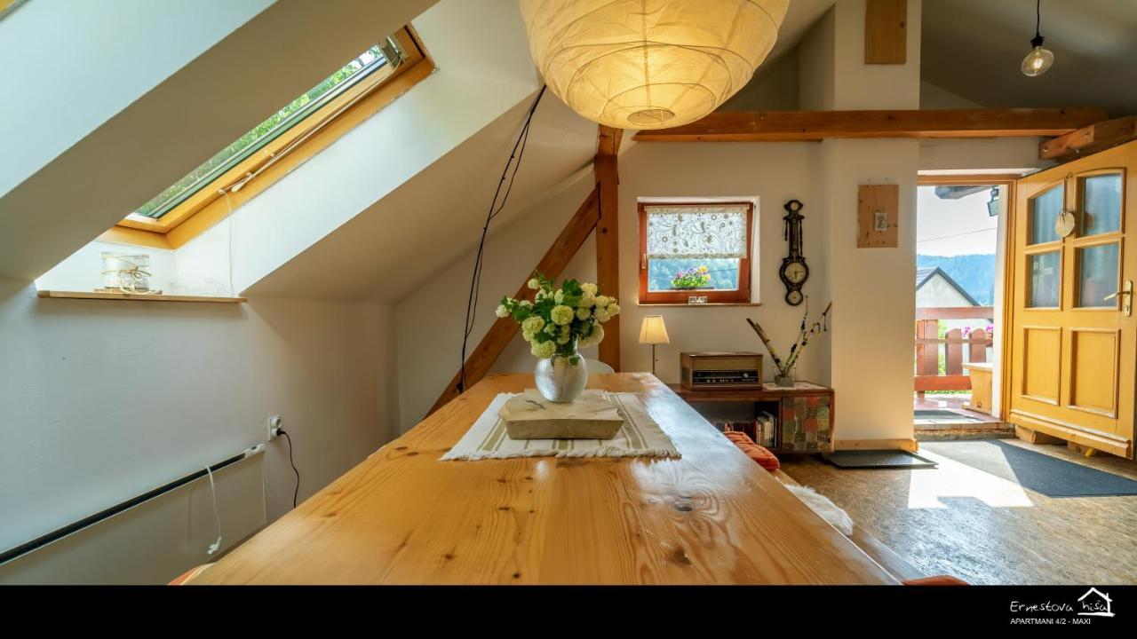 Apartment Ernestova Hisa *