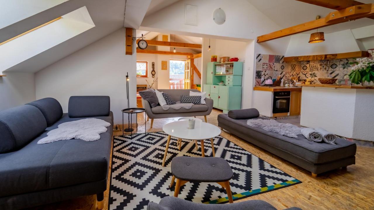 Apartment Ernestova Hisa