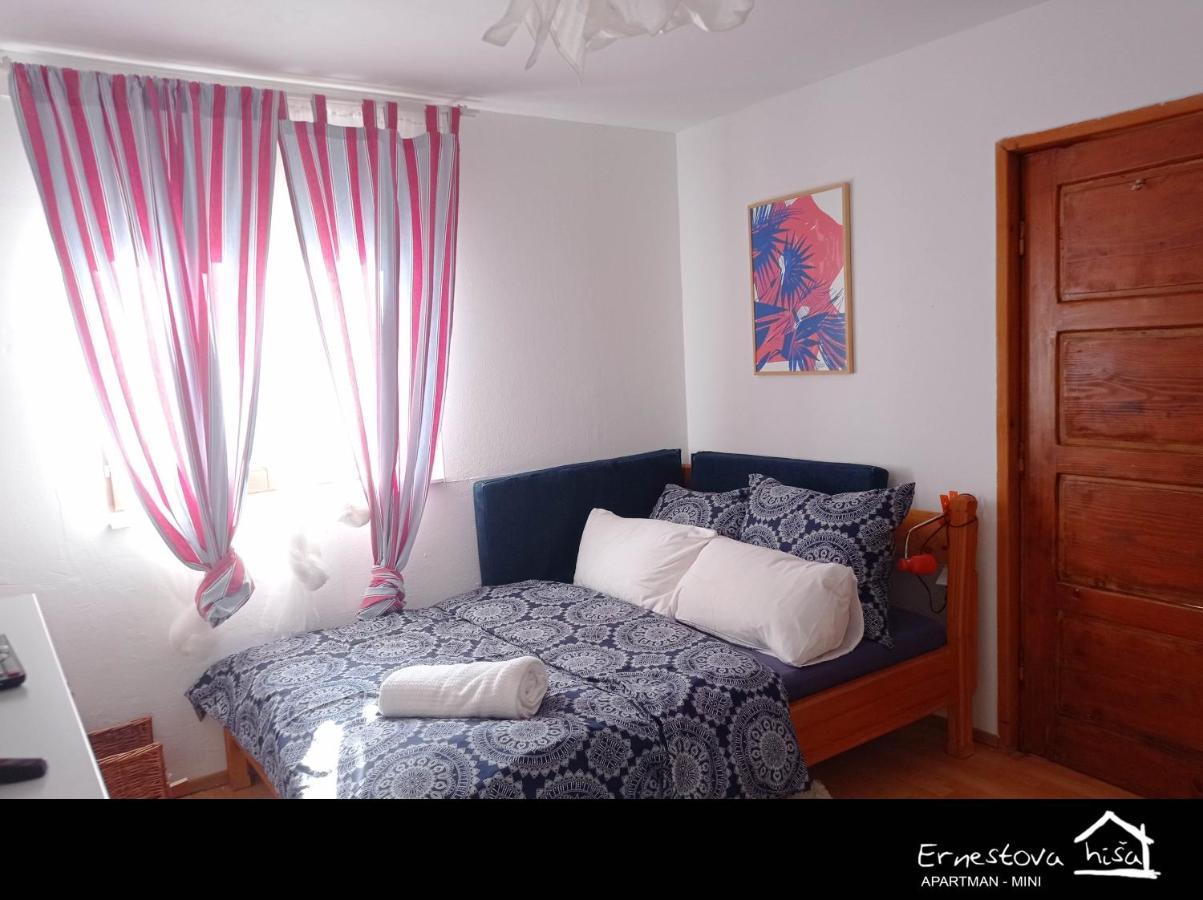 Apartment Ernestova Hisa Lokve