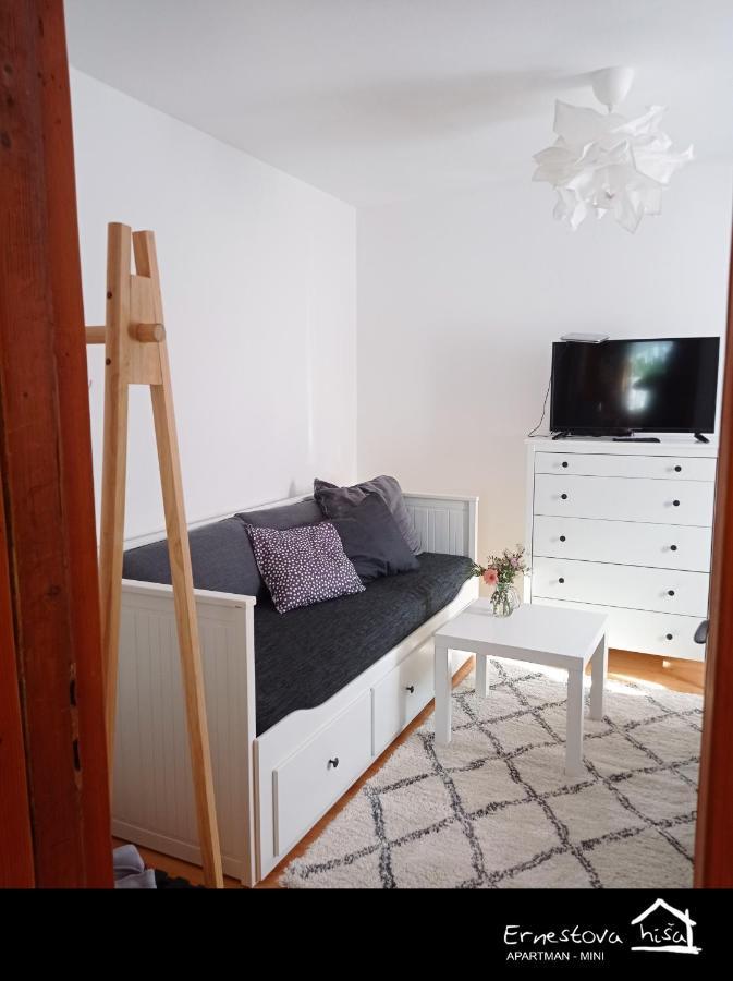 Ernestova Hisa Apartment Lokve
