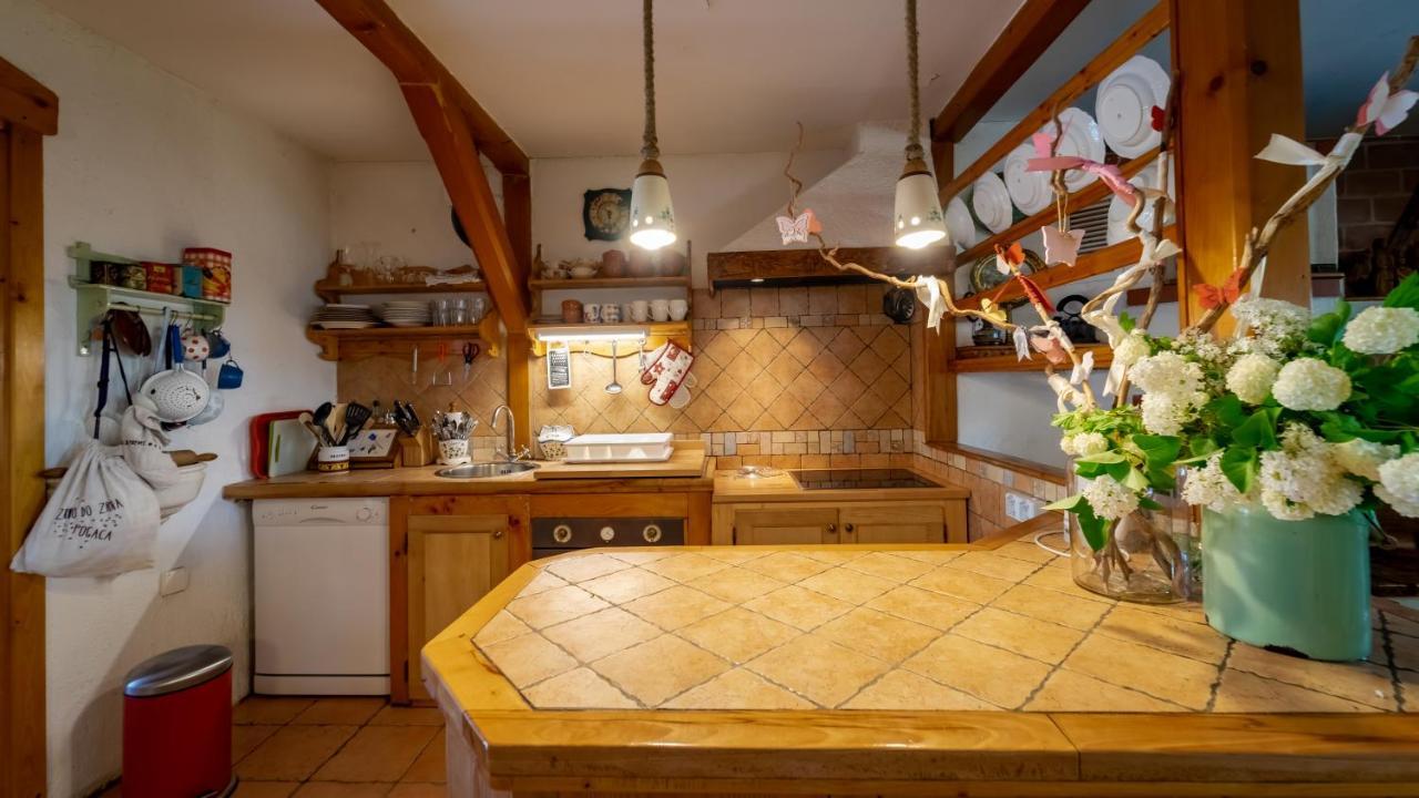 Apartment Ernestova Hisa *